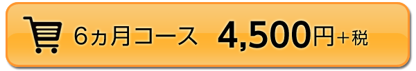 6ヵ月コース